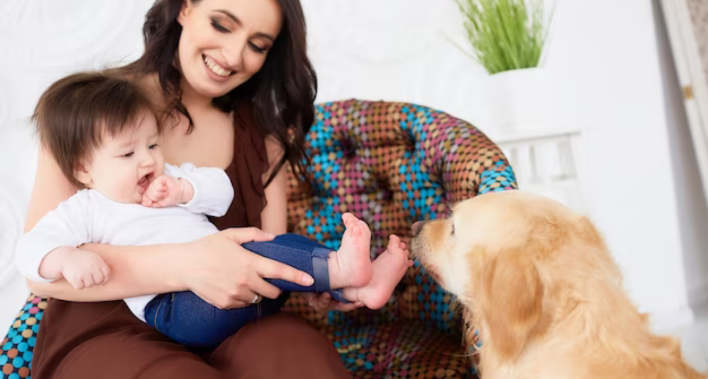 Pet-training-for-baby