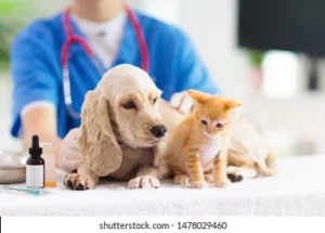 The History and Cultural Significance of Therapy Animals
