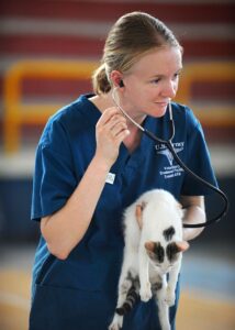 The Rise of Virtual Vet Appointments and Telemedicine