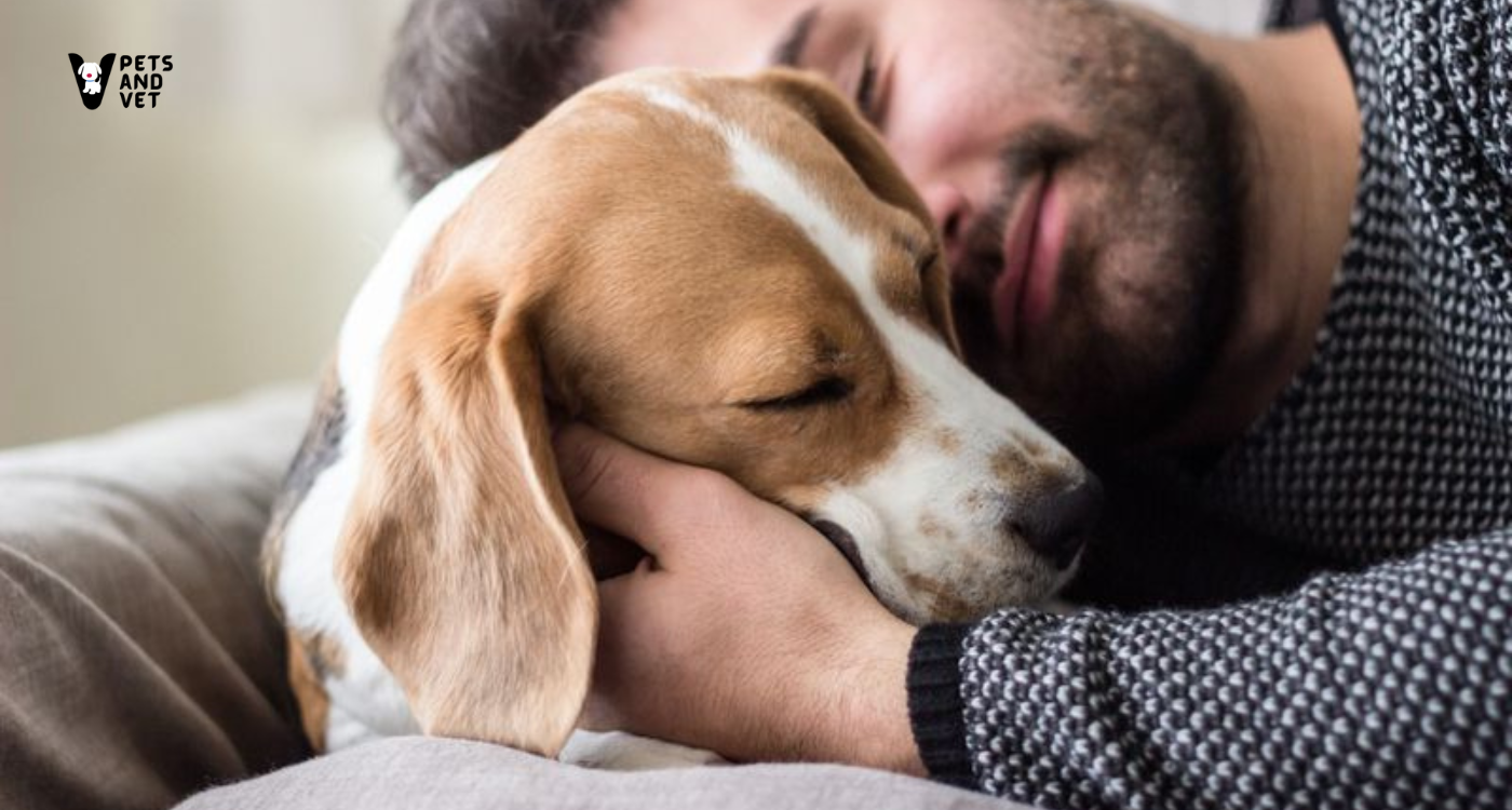Understanding-and-Best-Managing-Separation-Anxiety-in-Pets