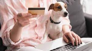 Understanding-pet-insurance-and-choosing-the-best-plan-vet-pets-london.jpg