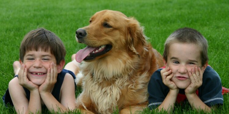 Cutest 10 Dog Breeds for Kids