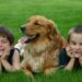 Cutest 10 Dog Breeds for Kids