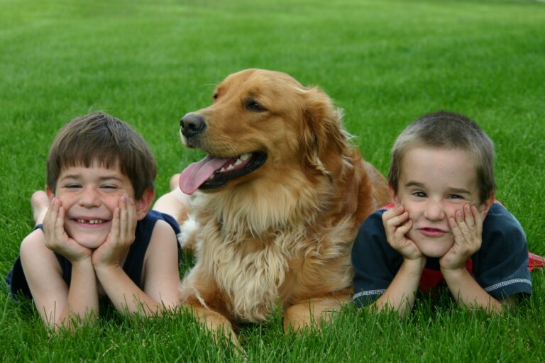 Cutest 10 Dog Breeds for Kids