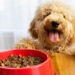 Pet Canine Health & Food