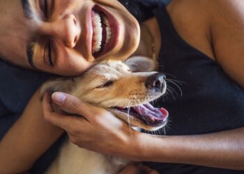 Vets recommend putting your pet on a diet. More fit pets, happier pets?