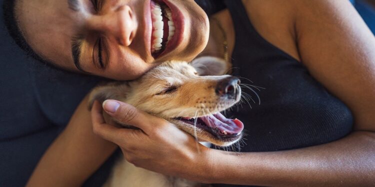 Vets recommend putting your pet on a diet. More fit pets, happier pets?