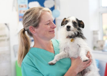 Common Misconceptions About Pet Nutrition and Diet