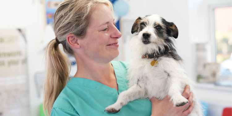 Common Misconceptions About Pet Nutrition and Diet