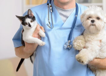 The Benefits of Having a Pet in a Nursing Home