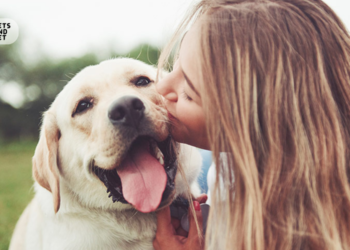 The-Benefits-of-Owning-a-Pet-for-Your-Mental-Health