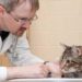 The Rise of CBD and Its Effects on Pet Health