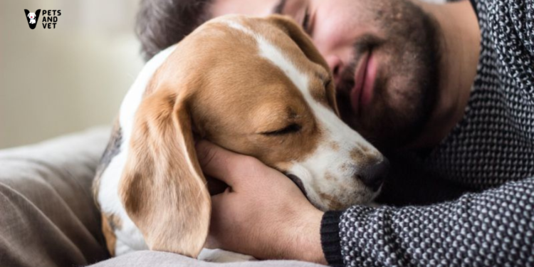 Understanding-and-Best-Managing-Separation-Anxiety-in-Pets