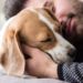 Understanding-and-Best-Managing-Separation-Anxiety-in-Pets