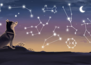 pet-horoscopes-what-does-your-pets-zodiac-sign-say