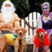 Taking-Your-Pet-Trick-or-Treating