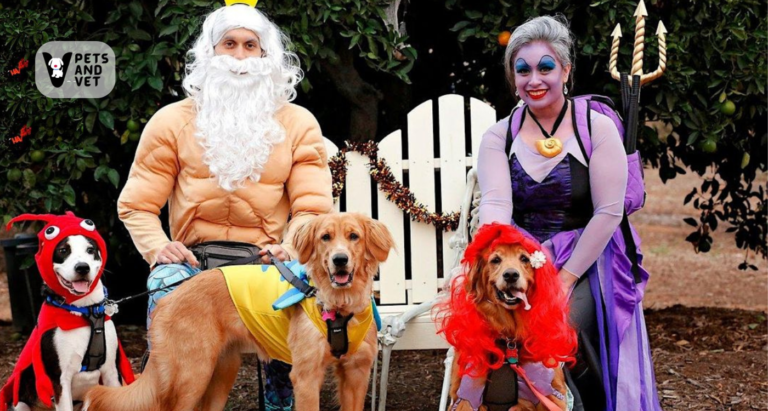Taking-Your-Pet-Trick-or-Treating