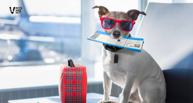 5-Best-Ideas-for-Traveling-with-Pets