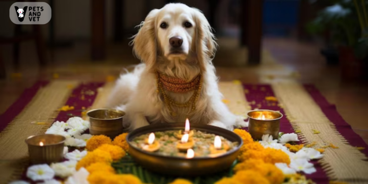 How Can You Ensure a Pet-Friendly Diwali Celebration