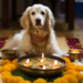 How Can You Ensure a Pet-Friendly Diwali Celebration