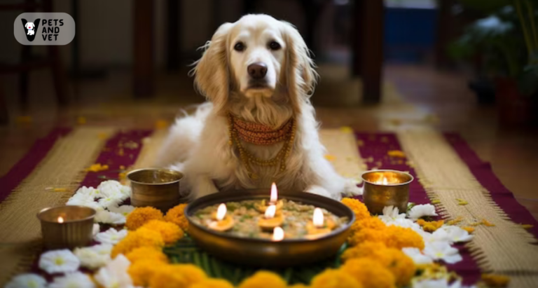 How Can You Ensure a Pet-Friendly Diwali Celebration