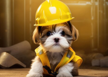 How-to-Puppy-Proof-Your-Home_-A-Step-by-Step-Guide